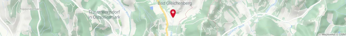 Map representation of the location for JOHANNES APOTHEKE in 8344 Bad Gleichenberg